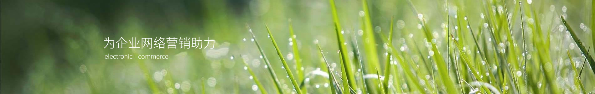 еľ޹˾